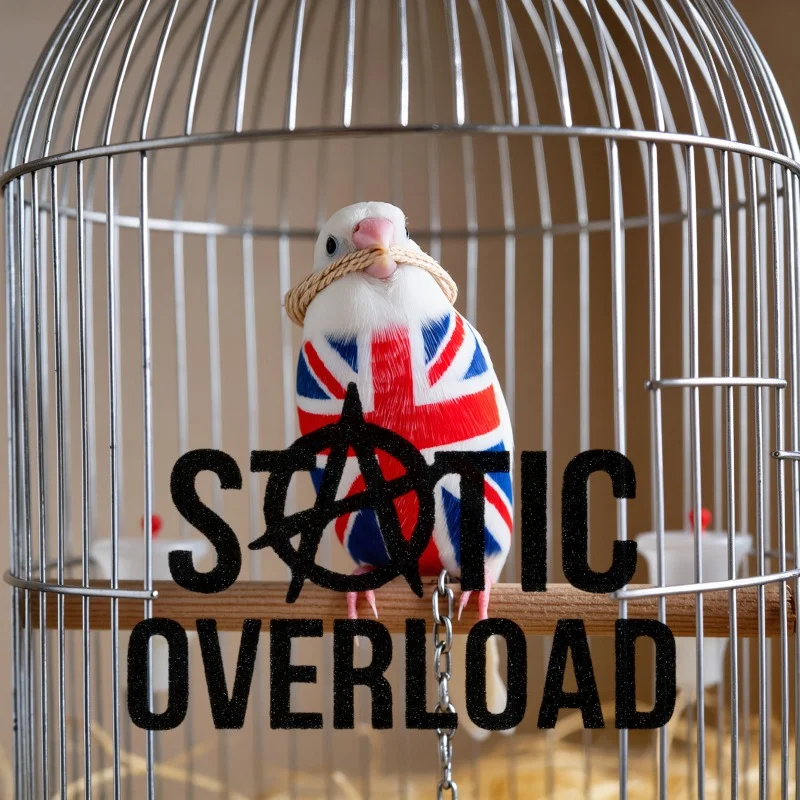 Static Overload